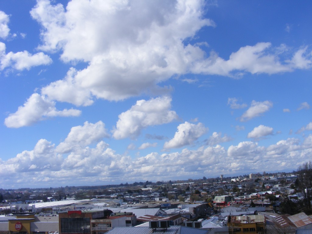 DSCF2902