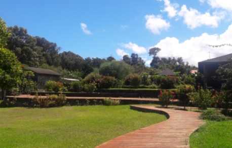 Hostal Hare Maea
