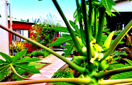Kauhenua Eco Hostal